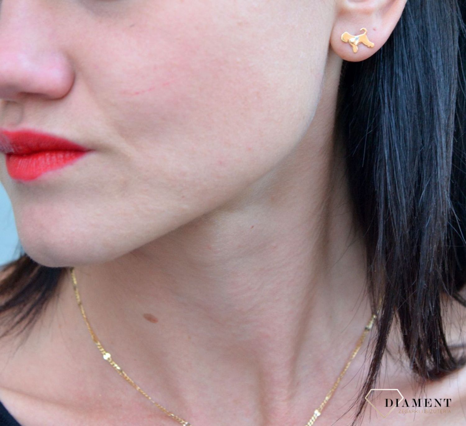 Srebrne kolczyki pozłacane pieski z kryształowym serduszkiem DIA-KLC-KR2 R284-1GSHA.jpg